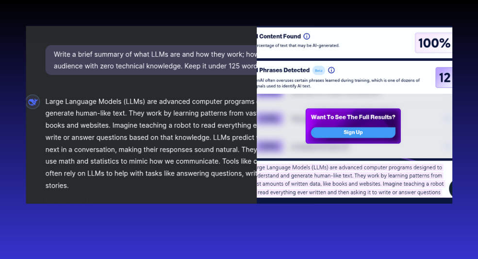 DeepSeek LLM Results